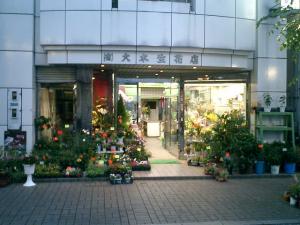 今日の富士山｜「大木生花店」　（静岡県富士市の花キューピット加盟店 花屋）のブログ