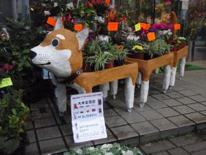 番犬が入りました(^_^)｜「大木生花店」　（静岡県富士市の花キューピット加盟店 花屋）のブログ