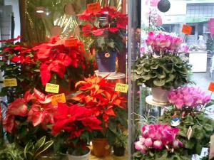 ディスプレイ！｜「大木生花店」　（静岡県富士市の花キューピット加盟店 花屋）のブログ