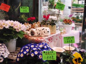 富士山の日｜「大木生花店」　（静岡県富士市の花キューピット加盟店 花屋）のブログ