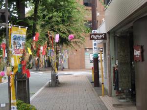 七夕さま｜「大木生花店」　（静岡県富士市の花キューピット加盟店 花屋）のブログ